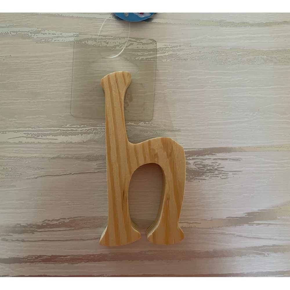 Wooden Letter (‘h’)